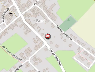 Carte de Mertz Gérard à Bust