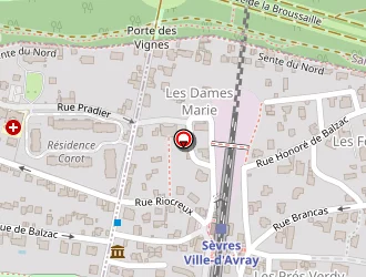 Carte de Miassedova Anna à Sèvres