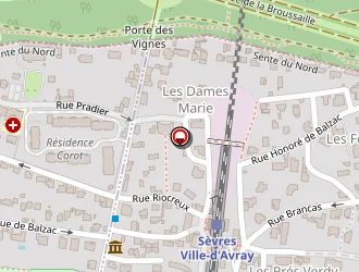 Carte de Losset Daniel à Sèvres