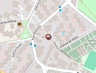 Carte de S2j Expert à Chesnay (le)