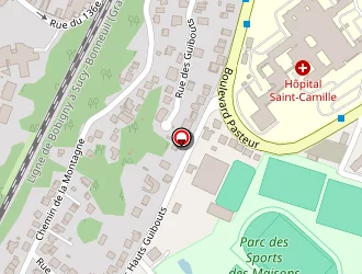 Carte de Emylia à Champigny-sur-marne