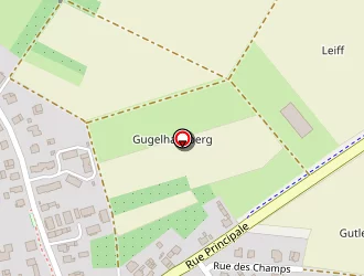 Carte de Fleurs Eclosion à Rœschwoog