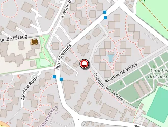 Carte de Zerapha Michel à Chesnay (le)