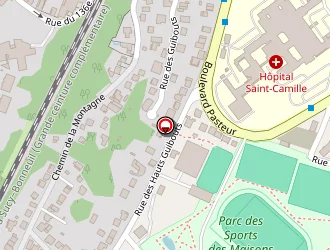 Carte de Sas Alv Paris à Bry-sur-marne