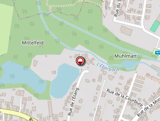 Carte de Electricité Weber à Soufflenheim