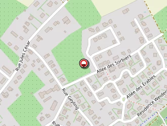 Carte de Elsermann Tolsten à Bouxwiller