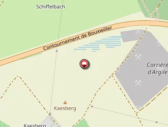 Carte de Hild Georges à Bouxwiller