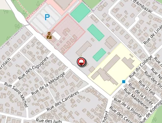 Carte de Schmitt Didier à Soufflenheim