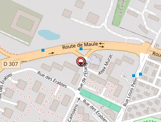 Carte de Chevrier Daniel à Chesnay (le)