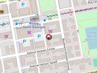 Carte de Vandame Benoît à Bussy-saint-georges