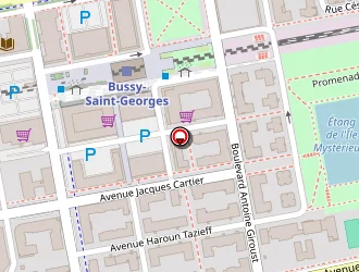 Carte de Triangle Interim à Bussy-saint-georges