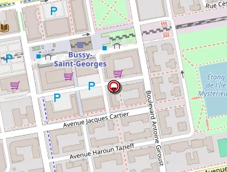 Carte de Visionstore à Bussy-saint-georges