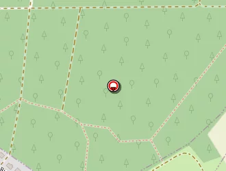 Carte de Bildstein Richard à Soufflenheim