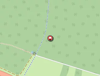 Carte de Falck Mathieu à Haguenau