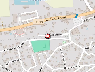 Carte de Zyto Bernard à Pfaffenhoffen