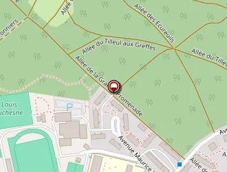 Carte de Maricato Jorge à Celle-saint-cloud (la)