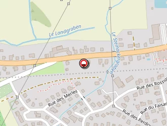 Carte de Promo Plus Services à Pfaffenhoffen