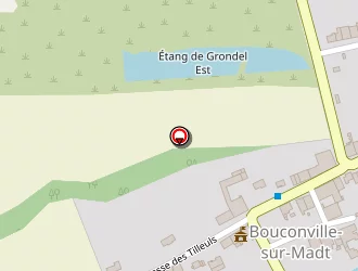 Carte de Gms Electrostatique à Bouconville-sur-madt