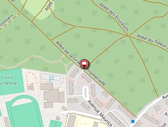 Carte de Jablonska Maria à Celle-saint-cloud (la)