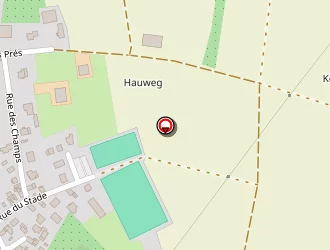 Carte de Dietrich Bernard à Roppenheim