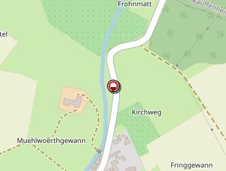 Carte de Restaurant Au Lion D'or à Leutenheim