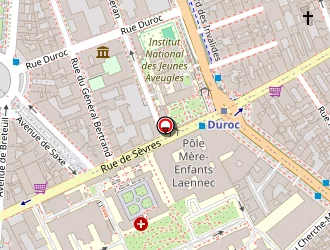 Carte de Bambou à Paris