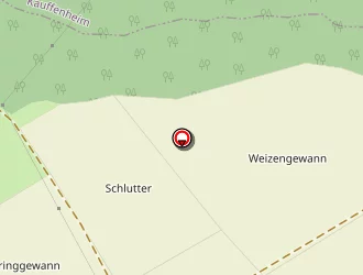 Carte de Stade Ernest Weber à Leutenheim