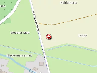 Carte de Garage Moritz à Pfaffenhoffen