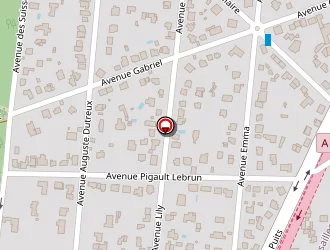 Carte de Brunet Carina à Celle-saint-cloud (la)