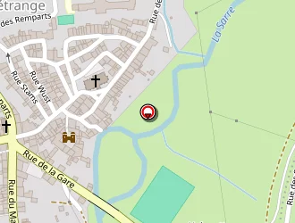 Carte de Sinteff Elisabeth à Fénétrange