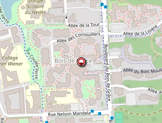 Carte de Diasse Consulting à Champs-sur-marne