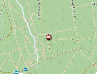 Carte de Il Boccaccio à Vaucresson