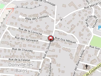 Carte de Micro Info Services à Donville-les-bains