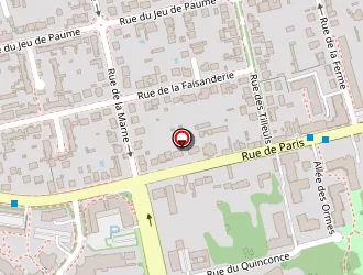 Carte de Diallo Prestige à Torcy