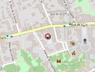 Carte de Avenir Autos Torcy à Torcy