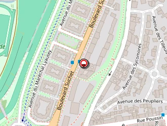 Carte de Bismuth Bertrand à Paris