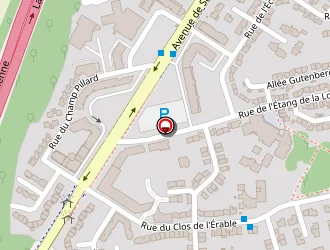 Carte de Marie à Saint-thibault-des-vignes