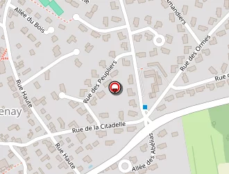 Carte de Chevance Lionel à Chavenay