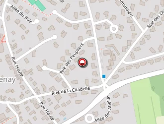 Carte de Dutasta Emmanuel à Chavenay