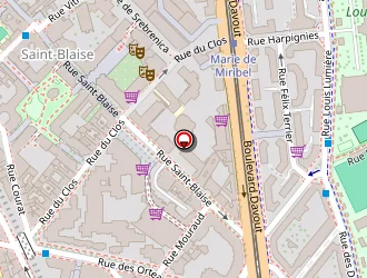 Carte de De Sousa Leveque à Paris