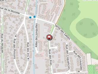 Carte de Mosquito à Champs-sur-marne