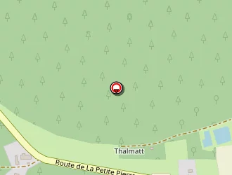 Carte de Dorschner Thomas à Weiterswiller