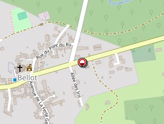 Carte de Cochon Hervé à Bellot