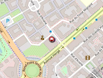 Carte de Taxi Barker à Chessy