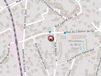 Carte de Millet Bruno à Bougival