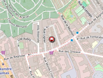 Carte de Piston Pelican à Paris