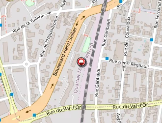 Carte de Sandra Danet Coach Canin à Saint-cloud