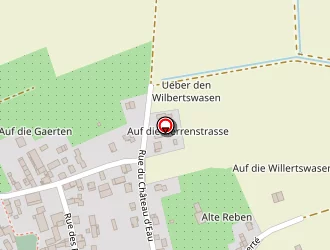 Carte de Steinmetz Michèle à Kindwiller