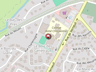 Carte de Carrefour Market à Damville