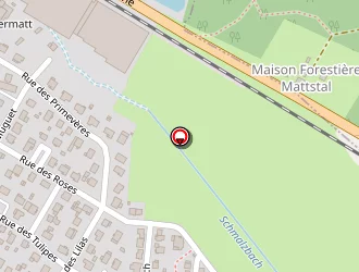 Carte de Zimmer Arnaud à Mertzwiller